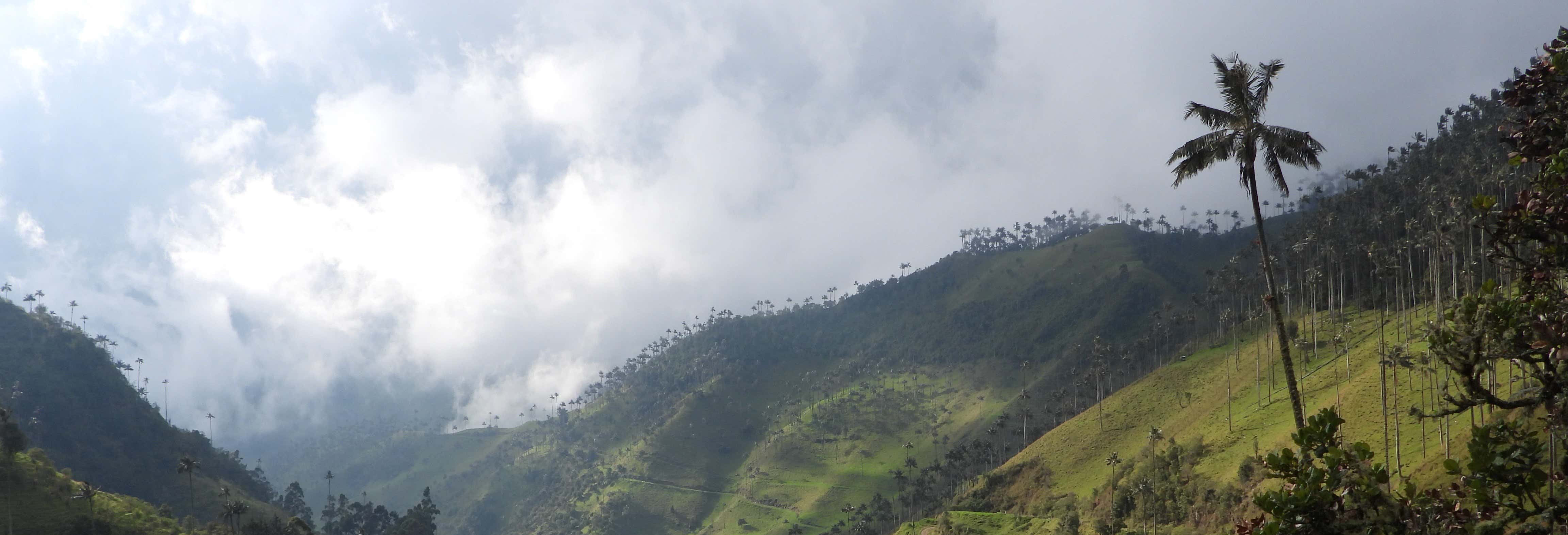 Trekking al Santuario della Palma da Cera di Tochecito