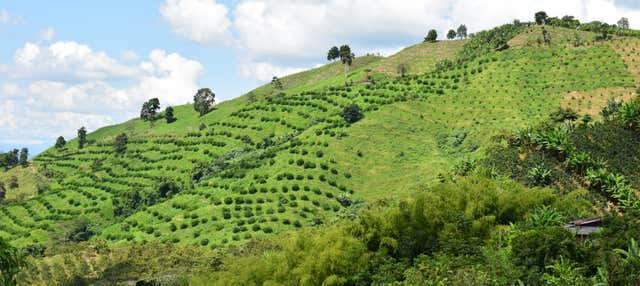 Volo privato in parapendio sull'Eje Cafetero