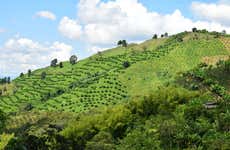 Coffee Triangle Private Paragliding