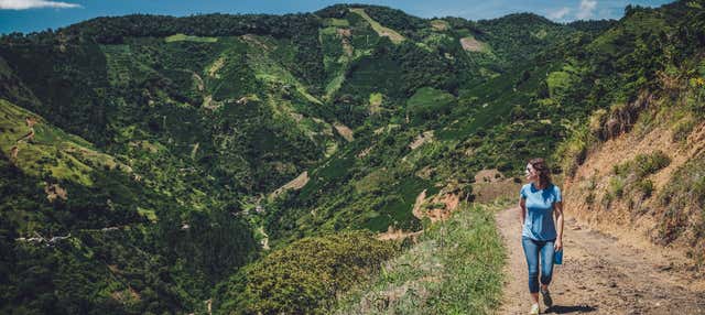 Trekking fra le piantagioni di caffè di Salgar