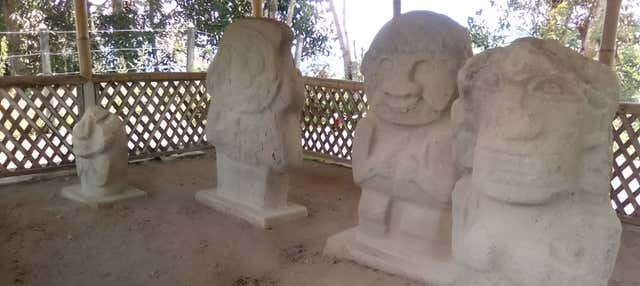 Excursão a Puerto Quinchana