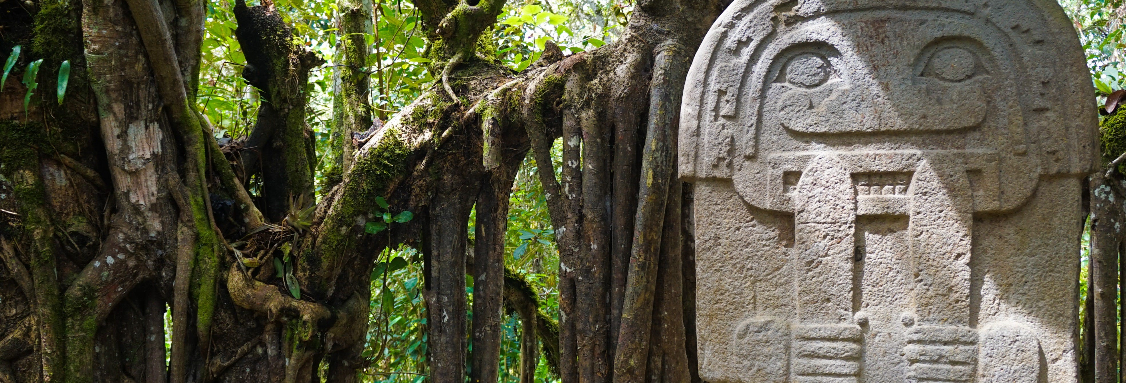 San Agustín Archaeological Park Private Tour