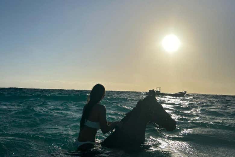 Imagen 7