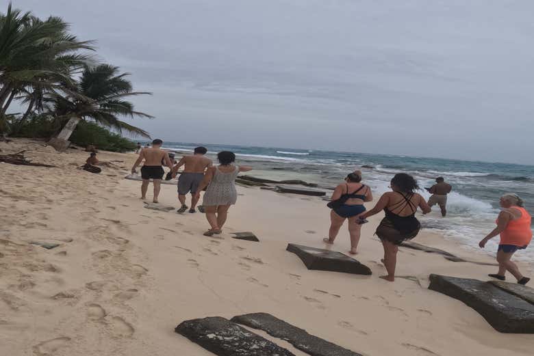 Dando la vuelta a la isla - Dando la vuelta a la isla
