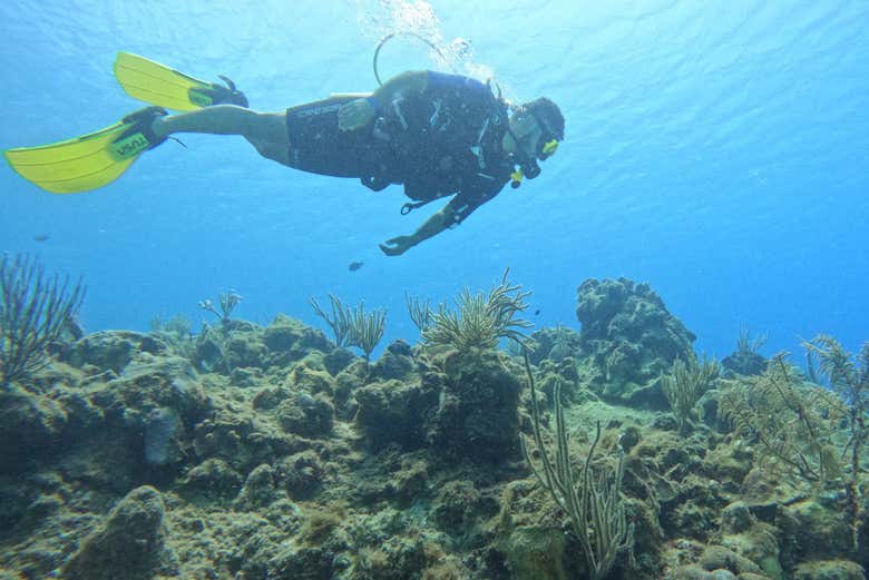 Buceando por primera vez en San Andrés - Buceando por primera vez en San Andrés