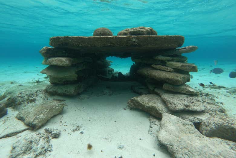 Explore the underwater world of San Andrés - Explore the underwater world of San Andrés