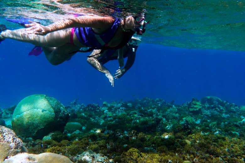 Haciendo snorkel en las aguas cristalinas de San Andrés - Haciendo snorkel en las aguas cristalinas de San Andrés
