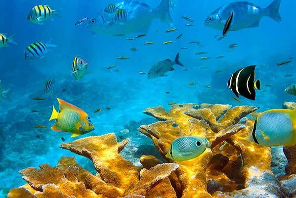 The waters of Cayo Acuario - The waters of Cayo Acuario