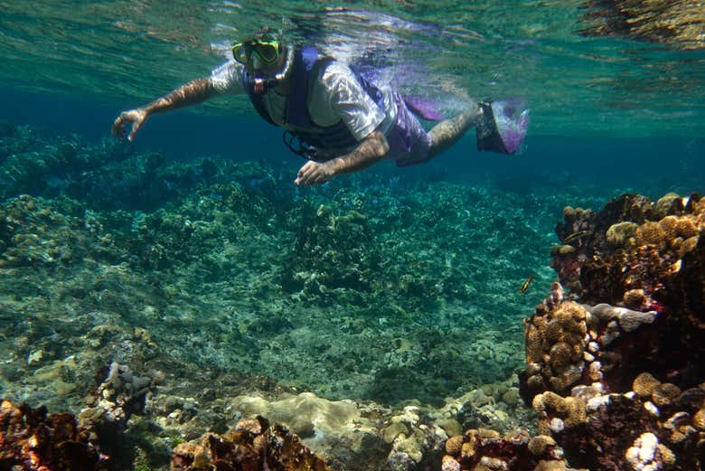 Un chico haciendo snorkel - Un chico haciendo snorkel
