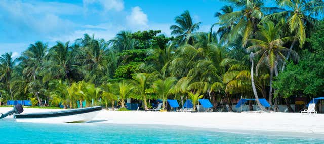 Paseo privado en lancha por Cayo Acuario