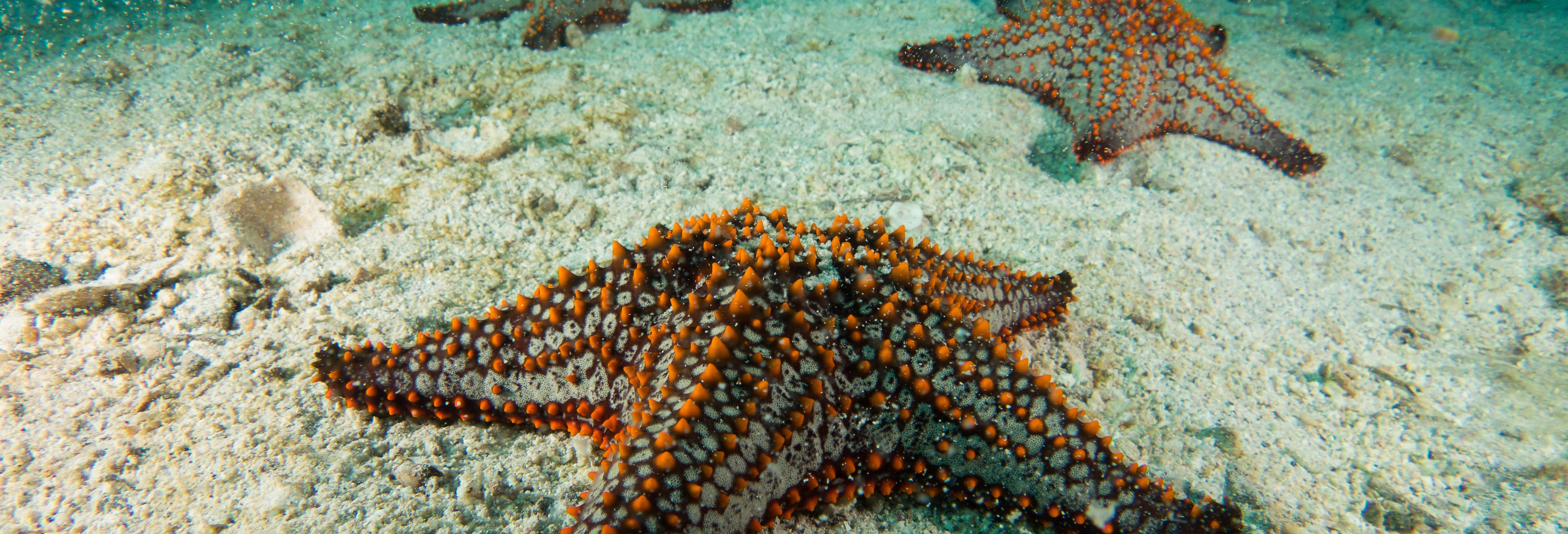 Seawalk in San Andres