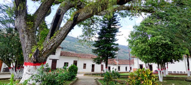 Escursione a Páramo e a Valle de San José