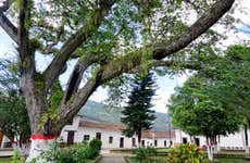 Excursão ao Páramo e ao Vale de San José