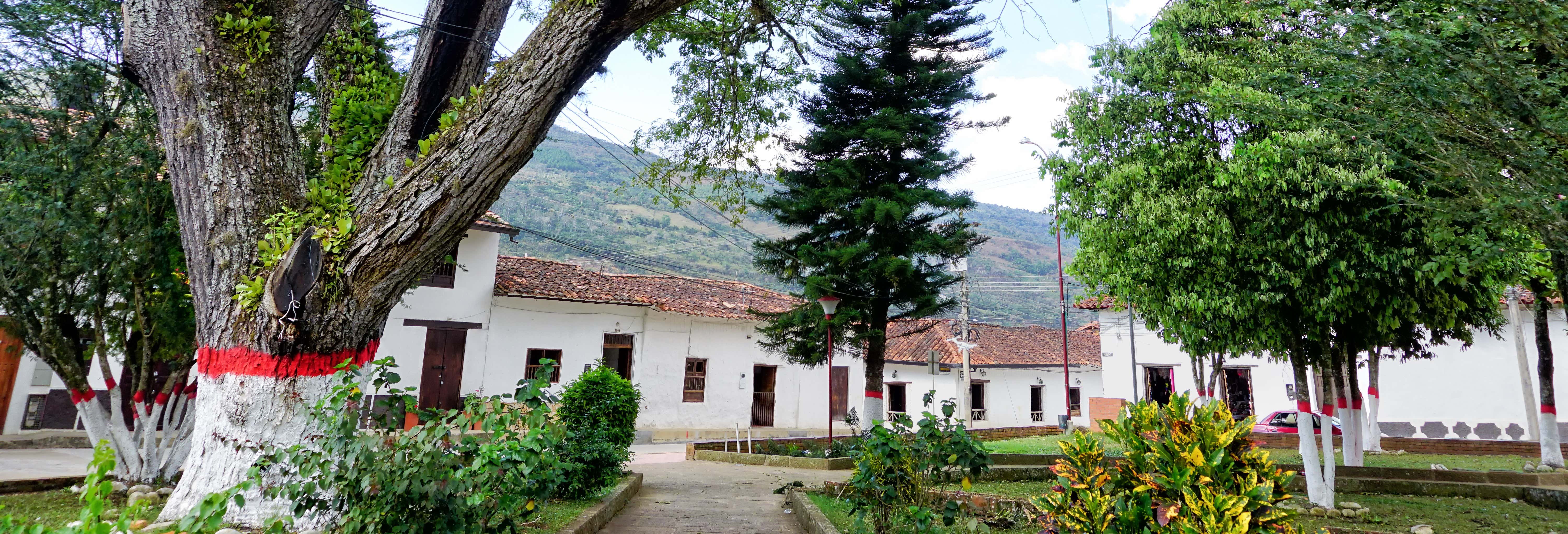 Escursione a Páramo e a Valle de San José