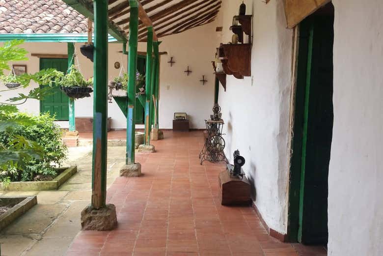 Imagen 9