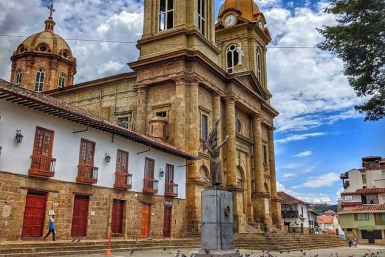 Imagen 5