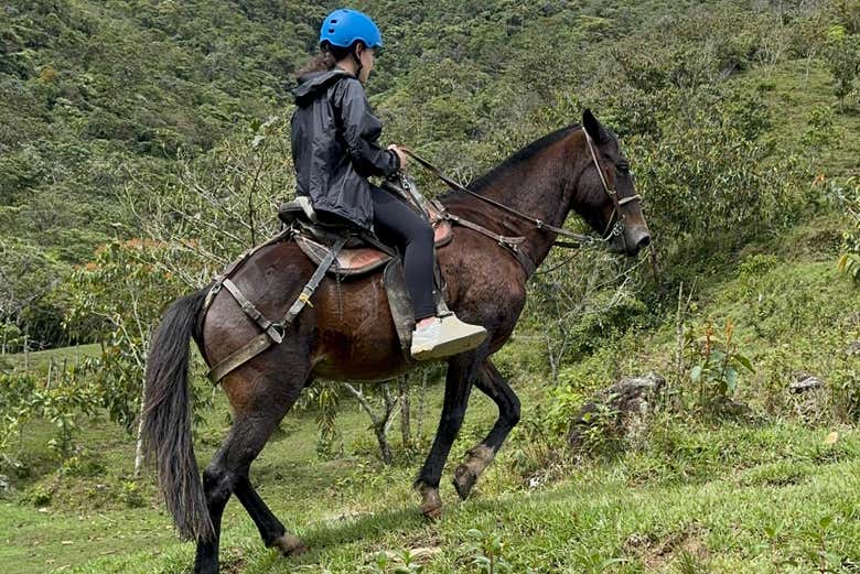 Imagen 3