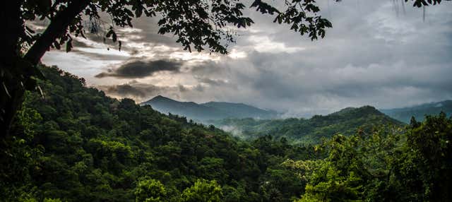 Birdwatching a Minca