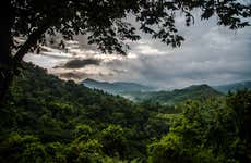 Minca Bird Watching Tour
