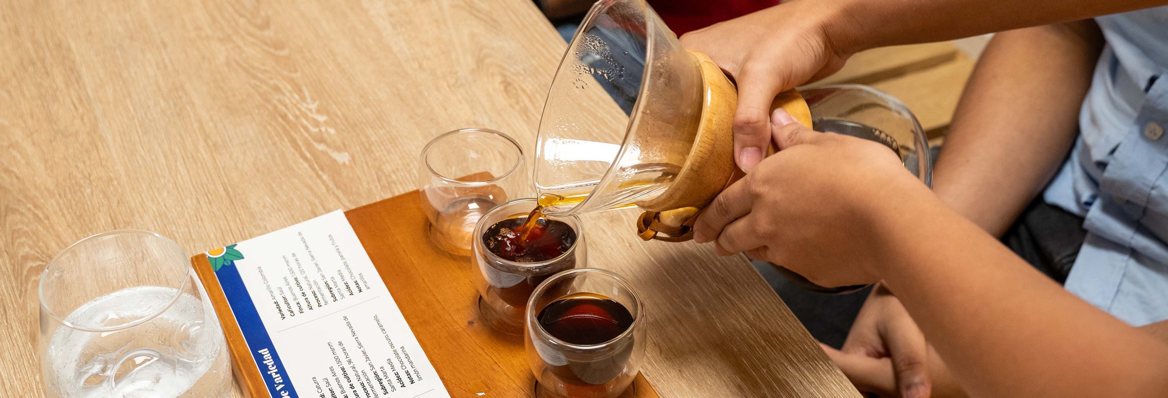 Coffee Tasting in Santa Marta