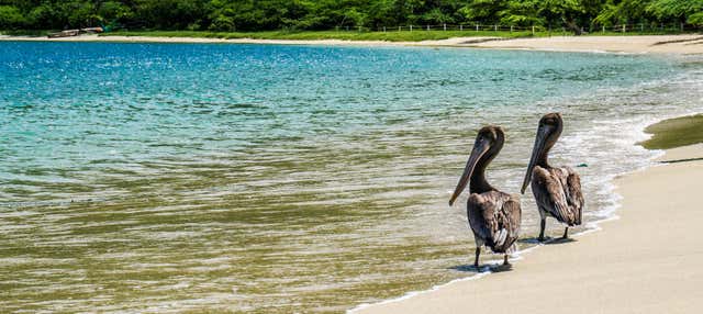 Escursione in barca alle spiagge del Parque Tayrona per piccoli gruppi
