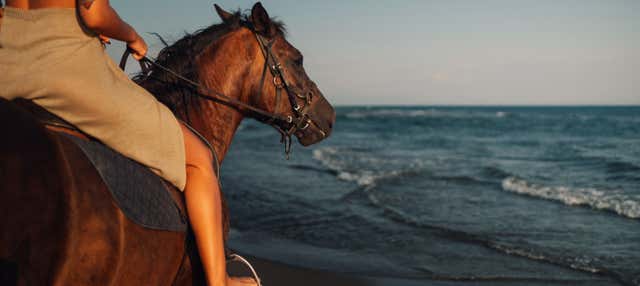 Escursione alle spiagge Los Cocos e Los Naranjos + Passeggiata a cavallo