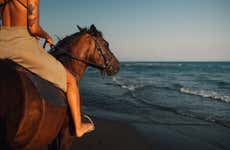 Los Cocos & Los Naranjos Beach Day Trip + Horseback Ride