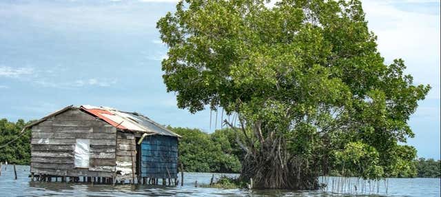 Escursione ai villaggi di palafitte di Ciénaga
