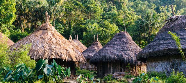 Escursione a Taironaka