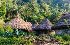 Taironaka Day Trip