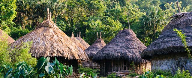 Excursion à Taironaka