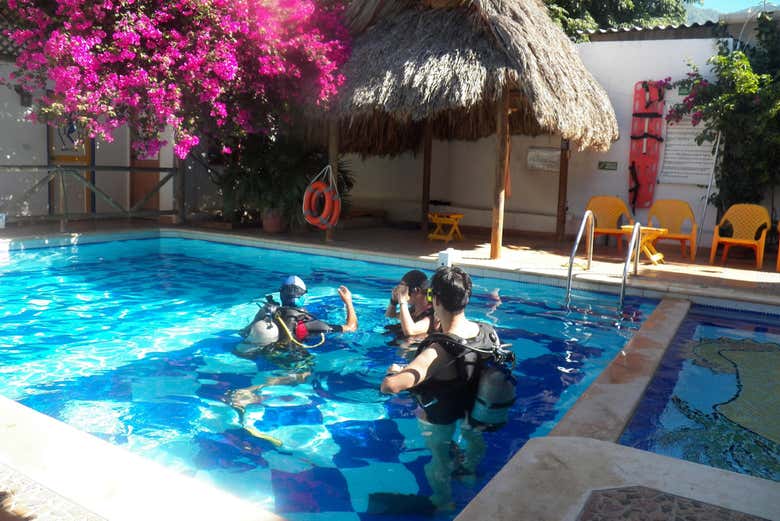 Imagen 7