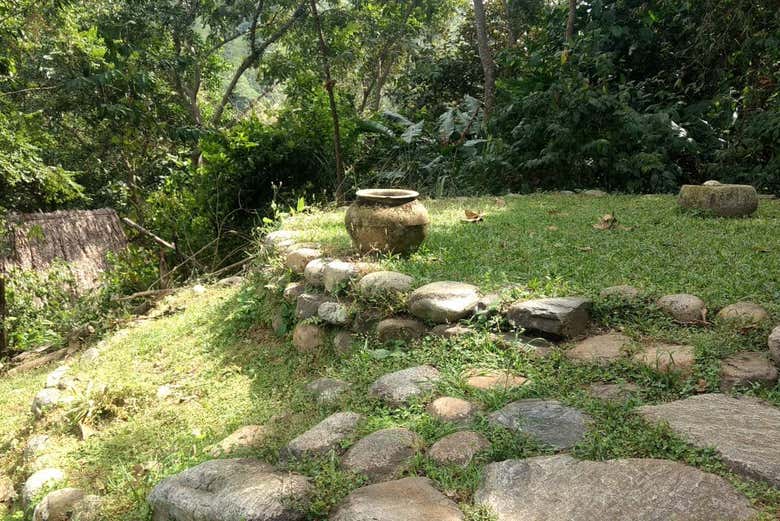 Imagen 3