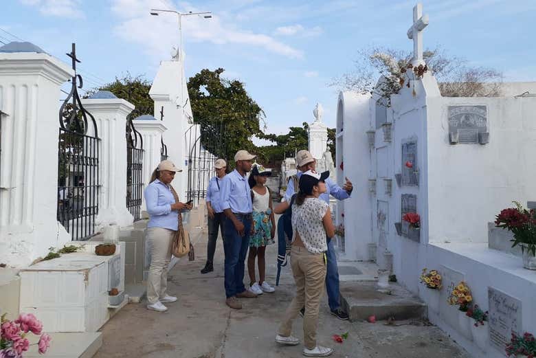 Imagen 6
