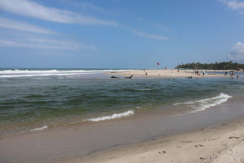 Imagen 7