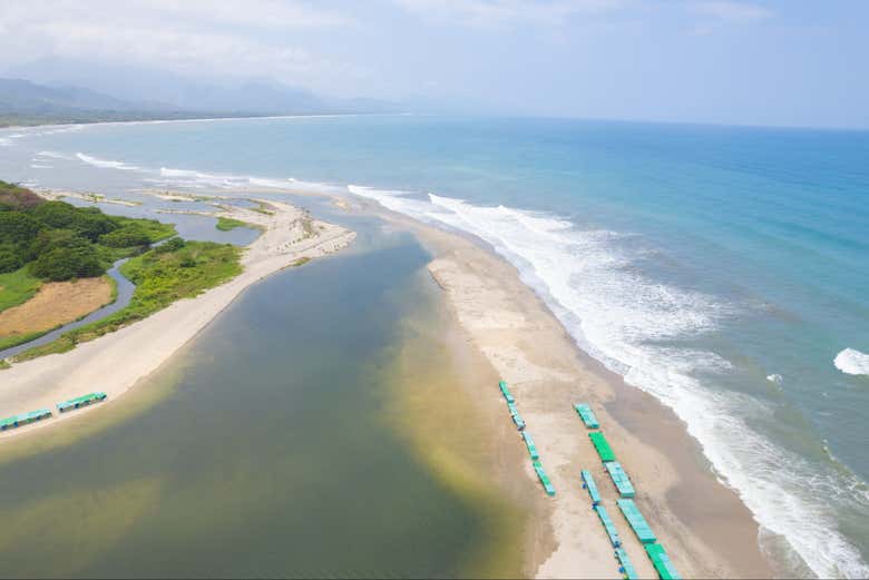 Imagen 4