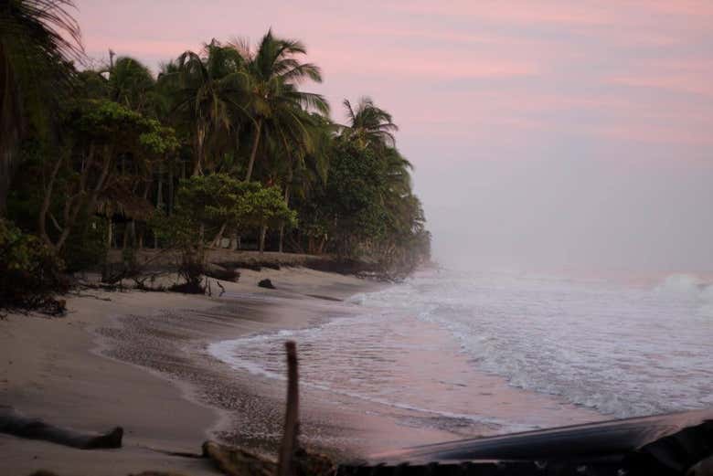 Imagen 7