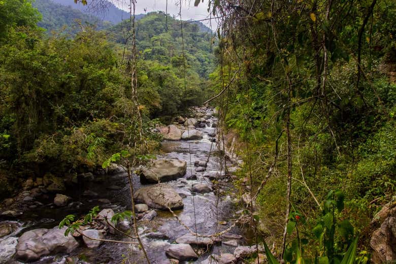 Rives du fleuve Buritaca - Rives du fleuve Buritaca