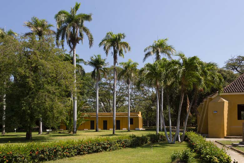 Imagen 4