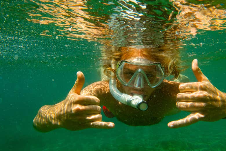 Imagen 6
