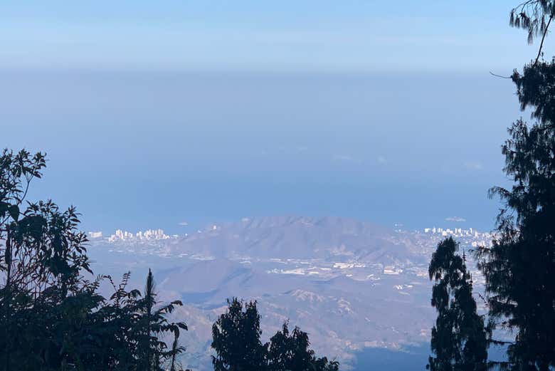 Imagen 3