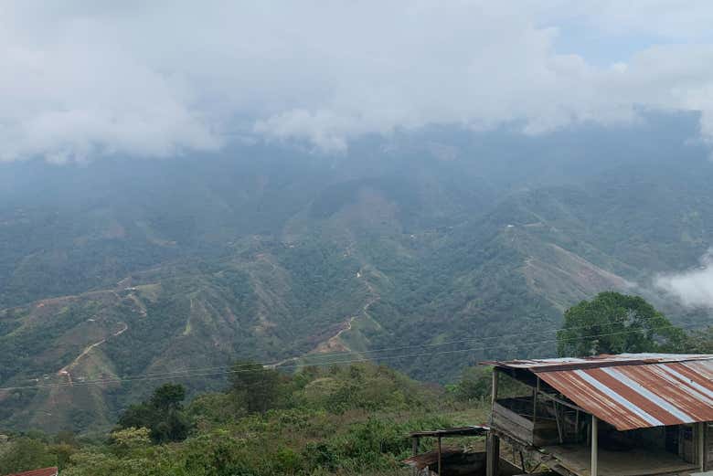 Imagen 5