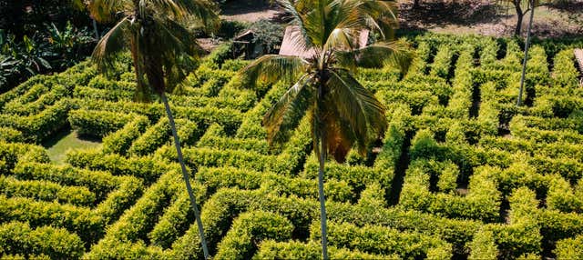 Escursione al labirinto Macondo + Tubing nel fiume Don Diego