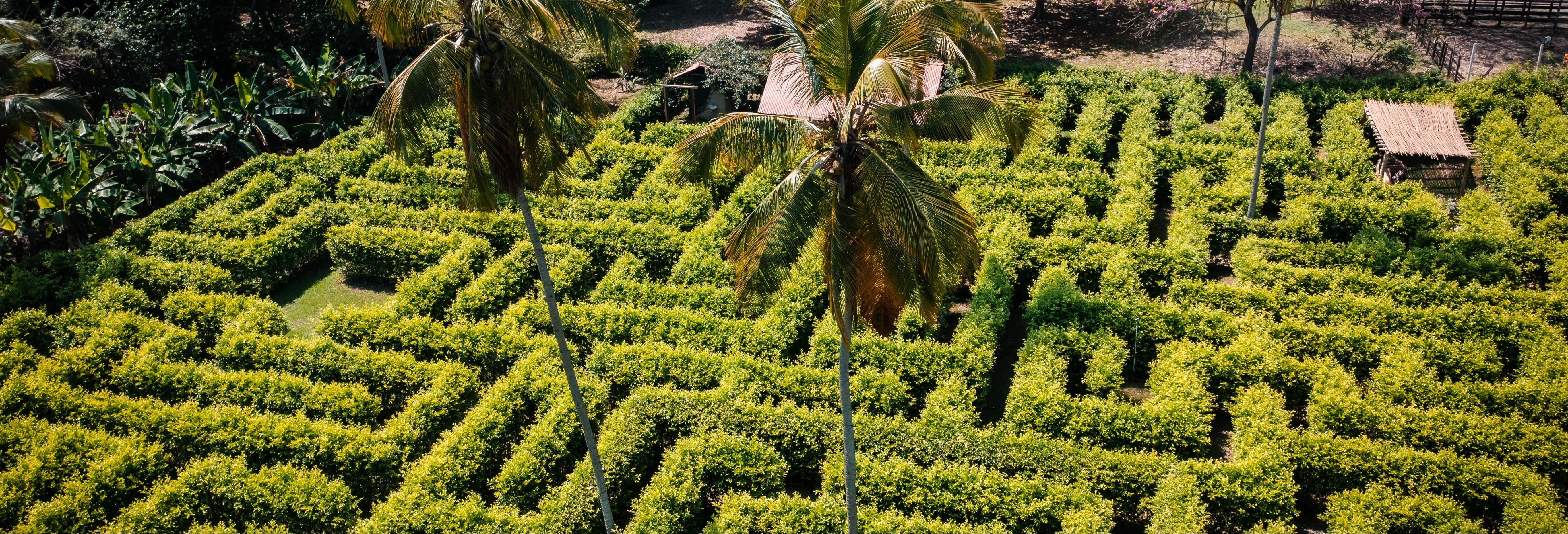 Escursione al labirinto Macondo + Tubing nel fiume Don Diego