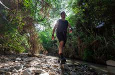 Don Diego River Hike + Bird Watching
