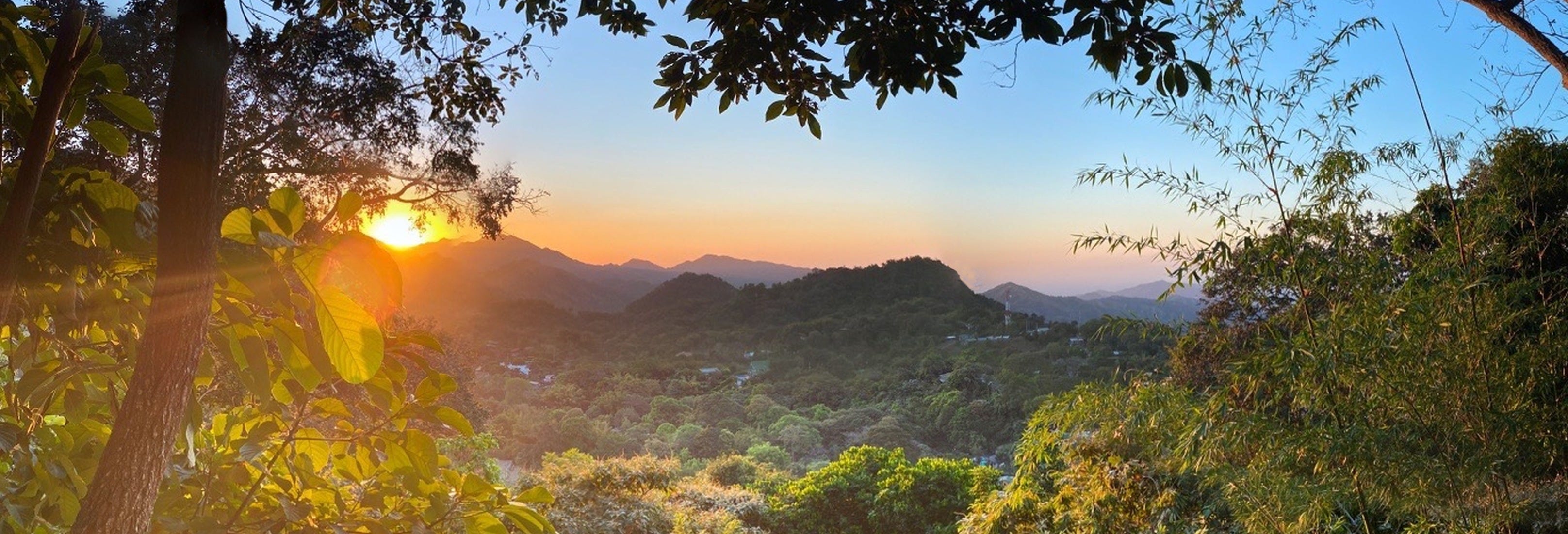 Hiking in the Minca Jungle