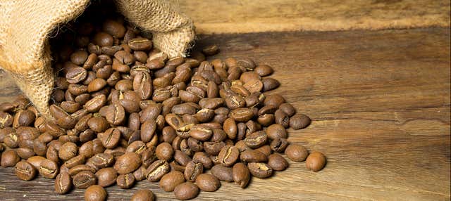 Visita a una tenuta di caffè + Degustazione di birre artigianali