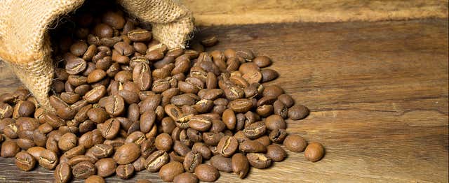 Visite d'une plantation de café + dégustation de bières artisanales