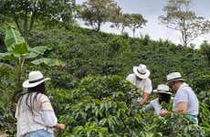 Visita a uma fazenda de café em Santa Rosa de Cabal