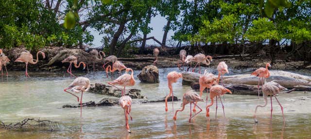 Escursione a Isla Palma